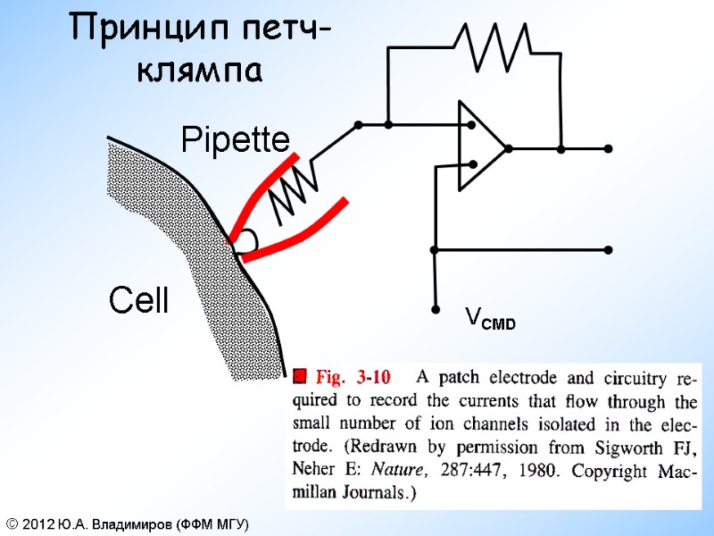 Принцип петч-клямпа